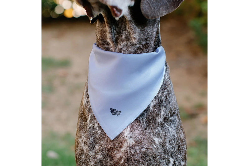 Disney: 9 Dog Group Collage - Pet Bandana