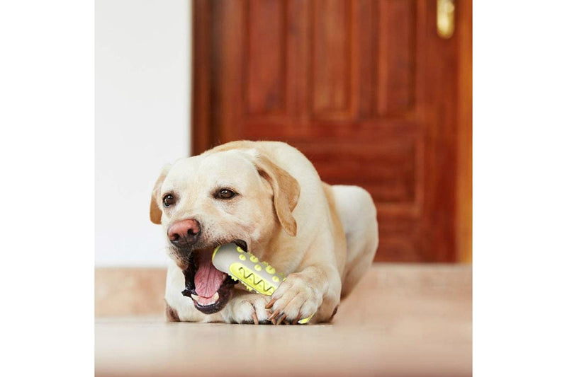 Dog Chew & Teeth Cleaning Toy - Yellow