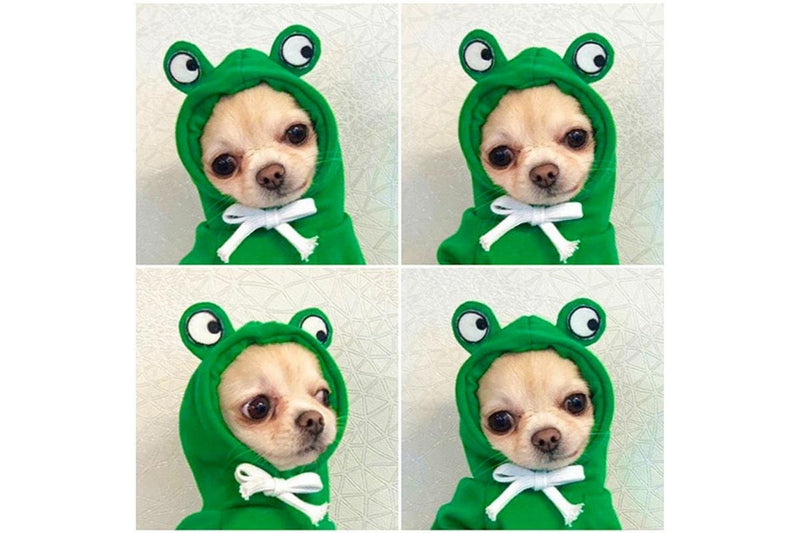 PETSWOL Large Pet Jacket - Frog