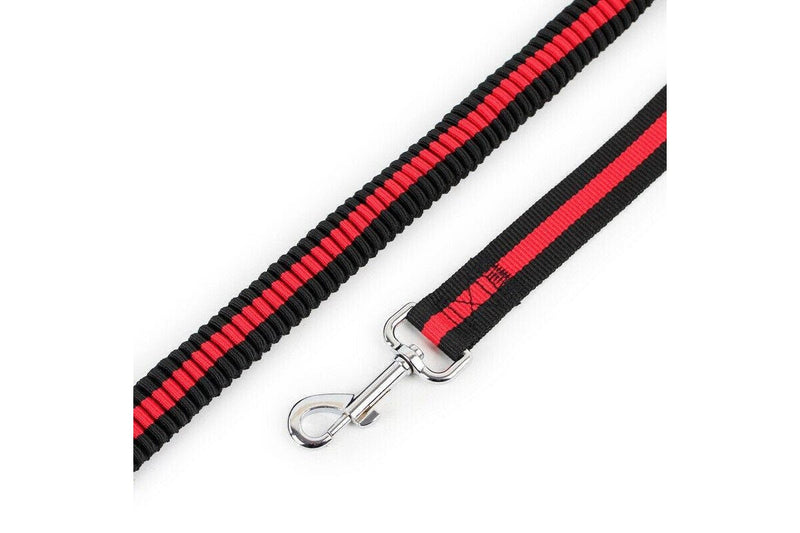 1.2m Strong Nylon Pet Dog Lead Leash Cat Training Collar