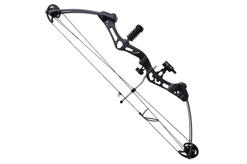 Adult Compound Bow with Accessories and Fiberglass Arrows vidaXL