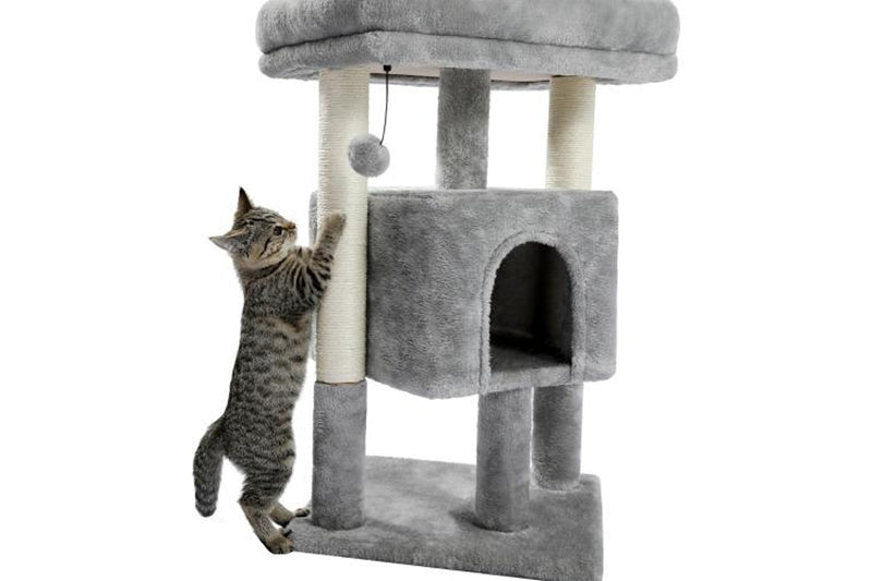 Zoomies Cat Scratching Post Tree 70cm