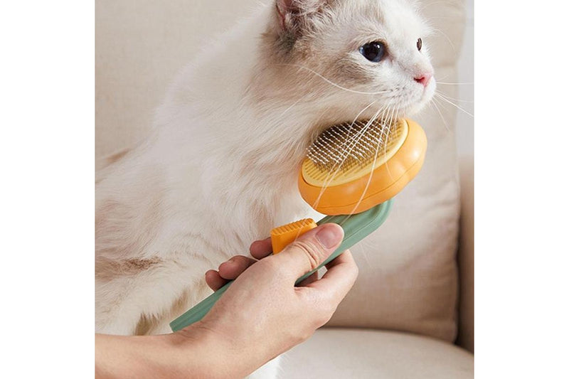 Pumpkin Pet Brush - Orange