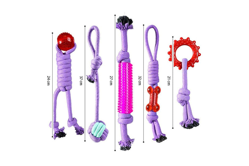 ZOOMIES 11-Piece Heavy Duty Leash Toy Set