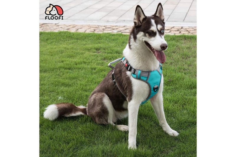 XL Blue Dog Harness Vest