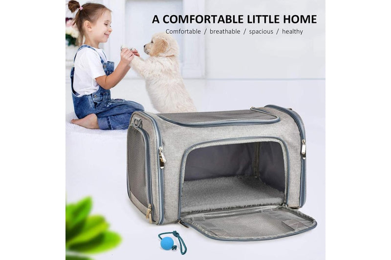 Collapsible Pet Carrier - Small/Medium