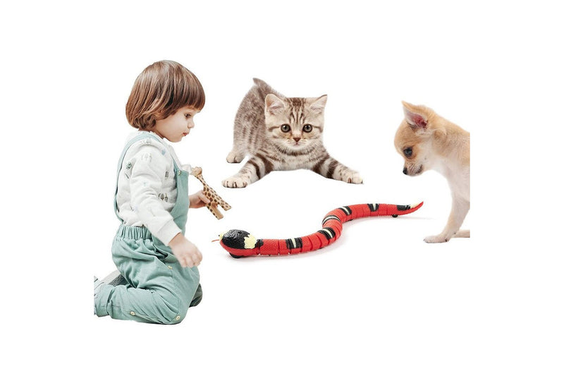 Smart Sensing Interactive Automatic Electronic Snake Cat Toys