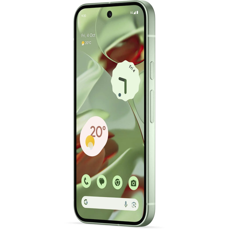 Google Pixel 9 5G 256GB (Wintergreen)