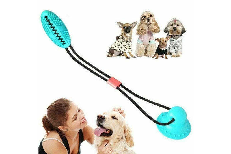 Costcom Interactive Rubber Pet Molar Bite Floor Suction Cup Dog Balls Puppy Chew Toy AUS