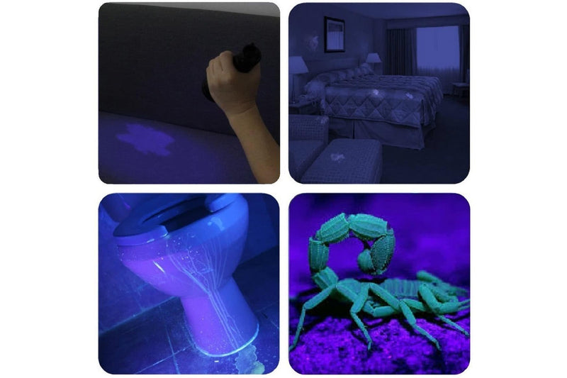 Ultraviolet Mini Black-Light - 51 LED