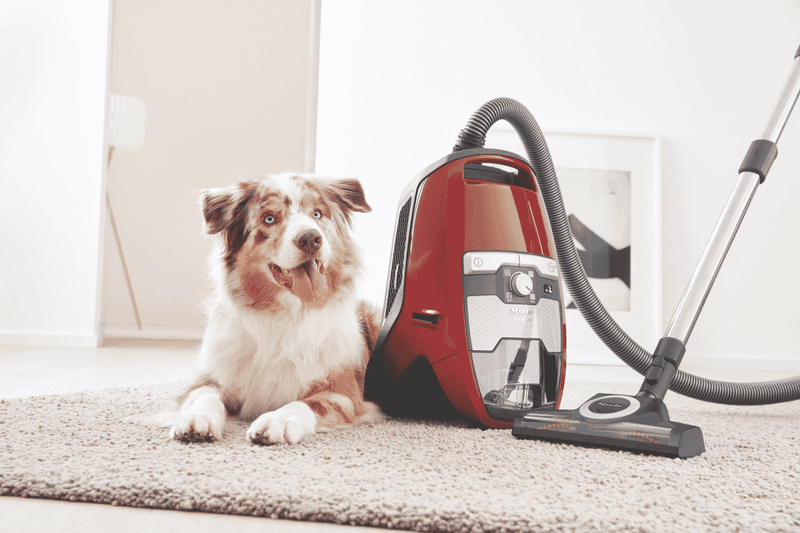 Miele Blizzard CX1 Cat & Dog Bagless Vacuum