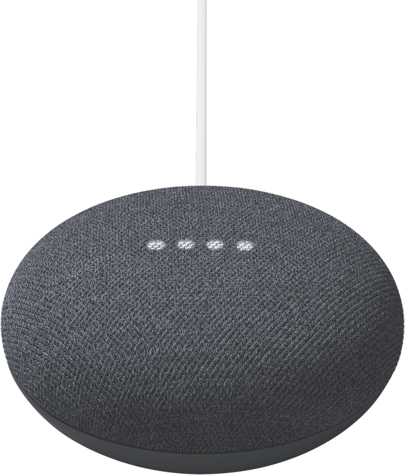 Google Nest Mini (Charcoal)