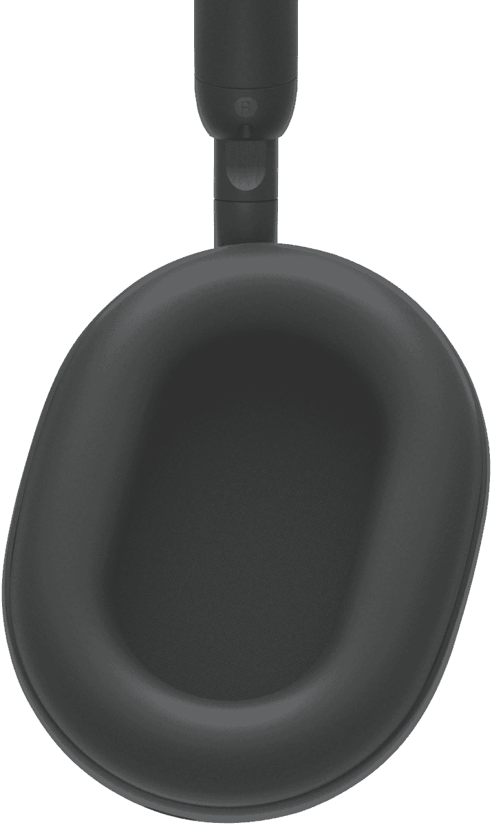 Sony Premium Noise Cancelling Headphones