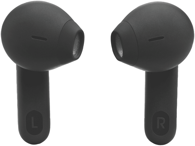 JBL Tune Flex Noise Cancelling Earbuds