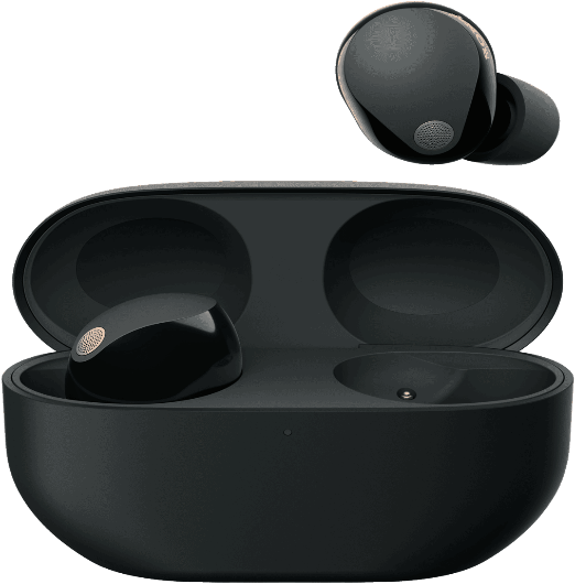 Sony Premium Noise Cancelling Earbuds