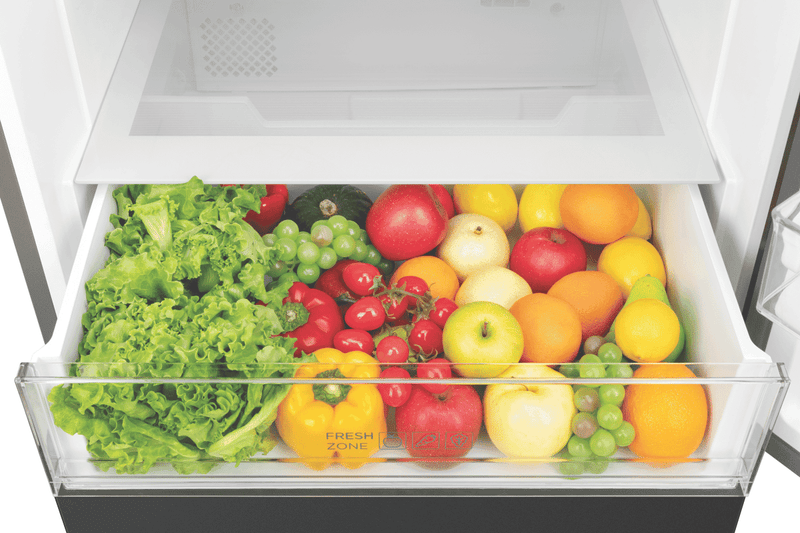 TCL 416L Bottom Mount Refrigerator